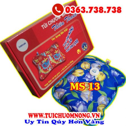 Túi Chườm Đa Năng Thiên Thanh MS 13
