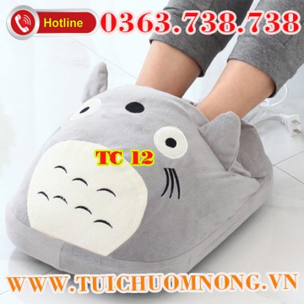Mẫu Totoro