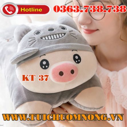 Mẫu Lợn Totoro